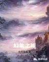 台湾图解gv