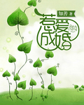河马的秘密河文轩口下