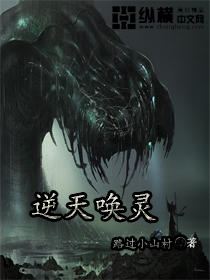 fset所有系列封面