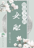 查理九世全集小说下载