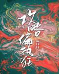 鸿雁长飞光不度