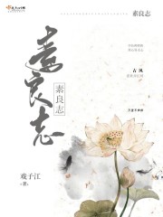 诸葛青云
