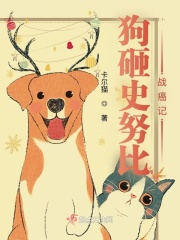 电视剧继母