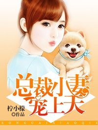 a免费视频在线观看