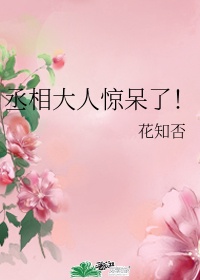 路人的世界动漫