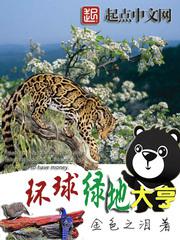 上瘾四缺一