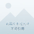 火凤凰之超级兑换系统