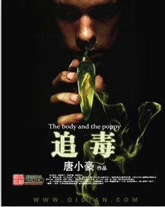 都市之纵意花丛