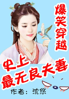 插菊综合