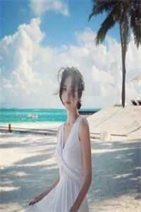 小m找主人