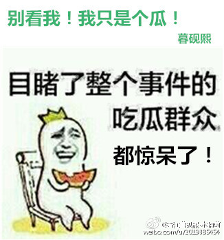 97蝌蚪视频在线播放