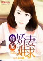 大叔幸福的人妻书包