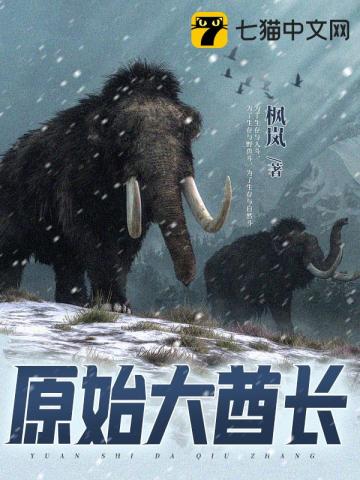 霸道总裁小娇妻动漫