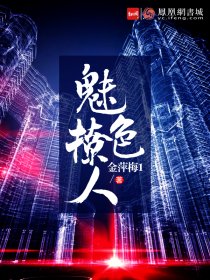 偷欢小说