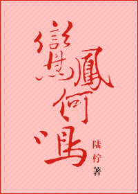 太原性息