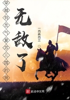 舒慧第二部全文阅读