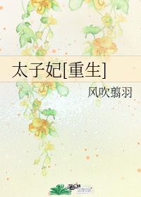 功夫厨师