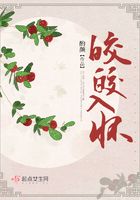 片库里的电视剧