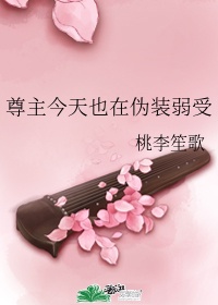 宅居boss的奋斗小说