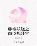 两个老外dj叫什么二老