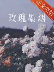 武力裁决所