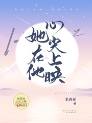 总裁的一日情人