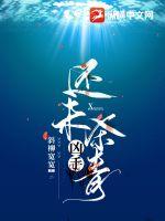 99久热任我爽精品视频