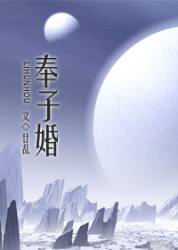 悖论小说流苏全文阅读