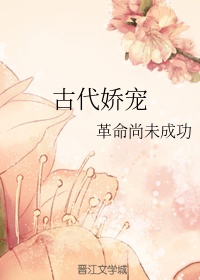 青春禁区小说