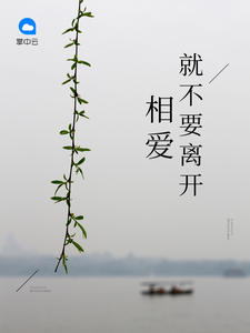 韩国大胸女友
