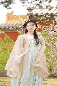 曲婉全文免费阅读