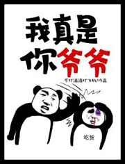 阿德征服四部曲阅读
