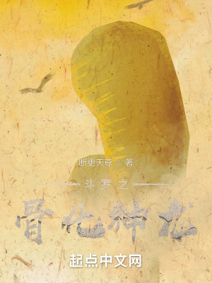 管道疏通器