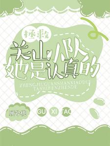生活启示录电视剧免费观看