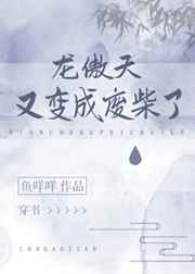 分手的决心在线观看完整版免费