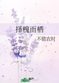 风凌天下小说