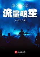 大将军韩信电视剧