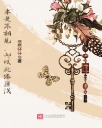 少林僵尸2免费观看完整版