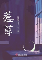 钻美女胯下vk