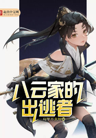 大森林导航