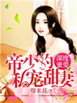 美国派6