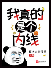 雷狮用按摩器玩哭安迷修