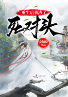 丶类似符号