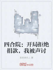 365天波兰原著小说结局