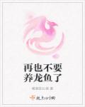 噼里啪啦免费观看