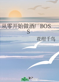 杨家将寡妇风流小说