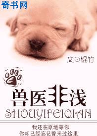 名侦探柯南大电影