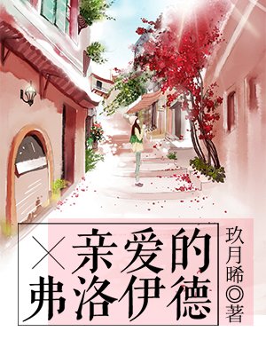 碧荷小说在线全文免费阅读