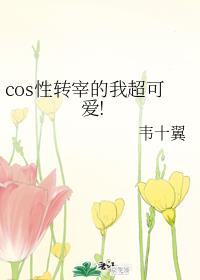 108式春床图片