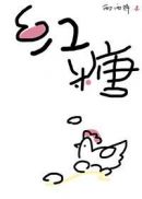 风雨小说网
